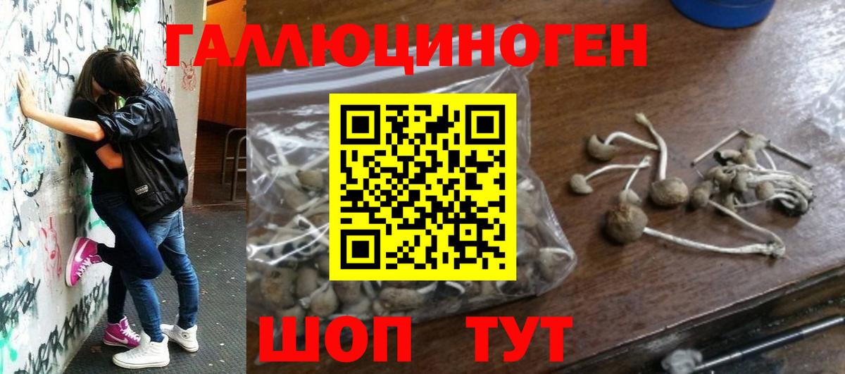 Псилоцибиновые грибы мицелий  Псилоцибиновые грибы GOLDEN TEACHER  Вход с VPN  Можга 